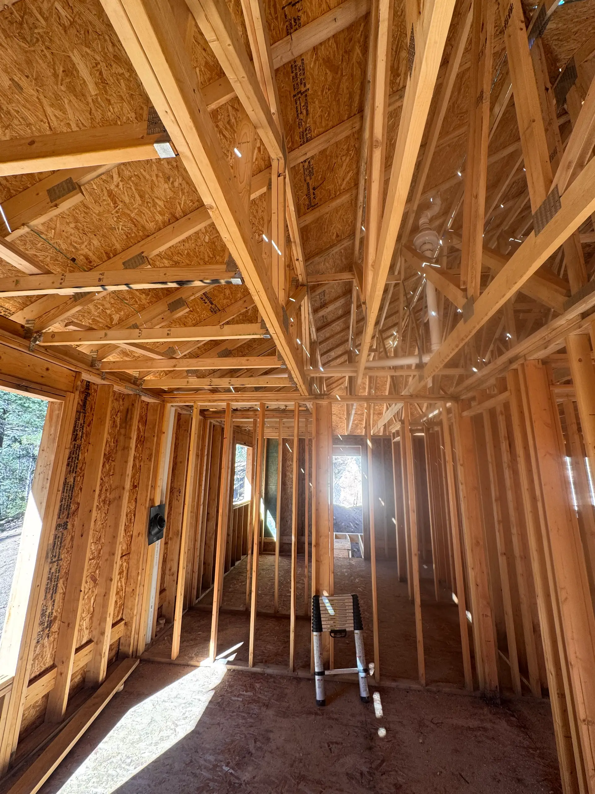 Sunlit new-construction home protected with a radon mitigation system